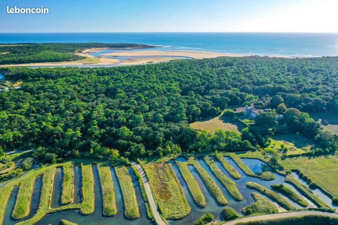 Charmant T2 Au Coeur Du Golf De Port Bourgenay Talmont-Saint-Hilaire エクステリア 写真